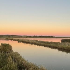 Meet your Posher, Zoe